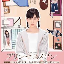 公主小屋封面图