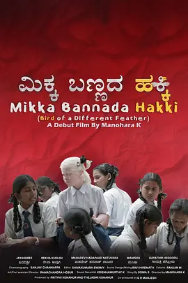 异羽之鸟封面图