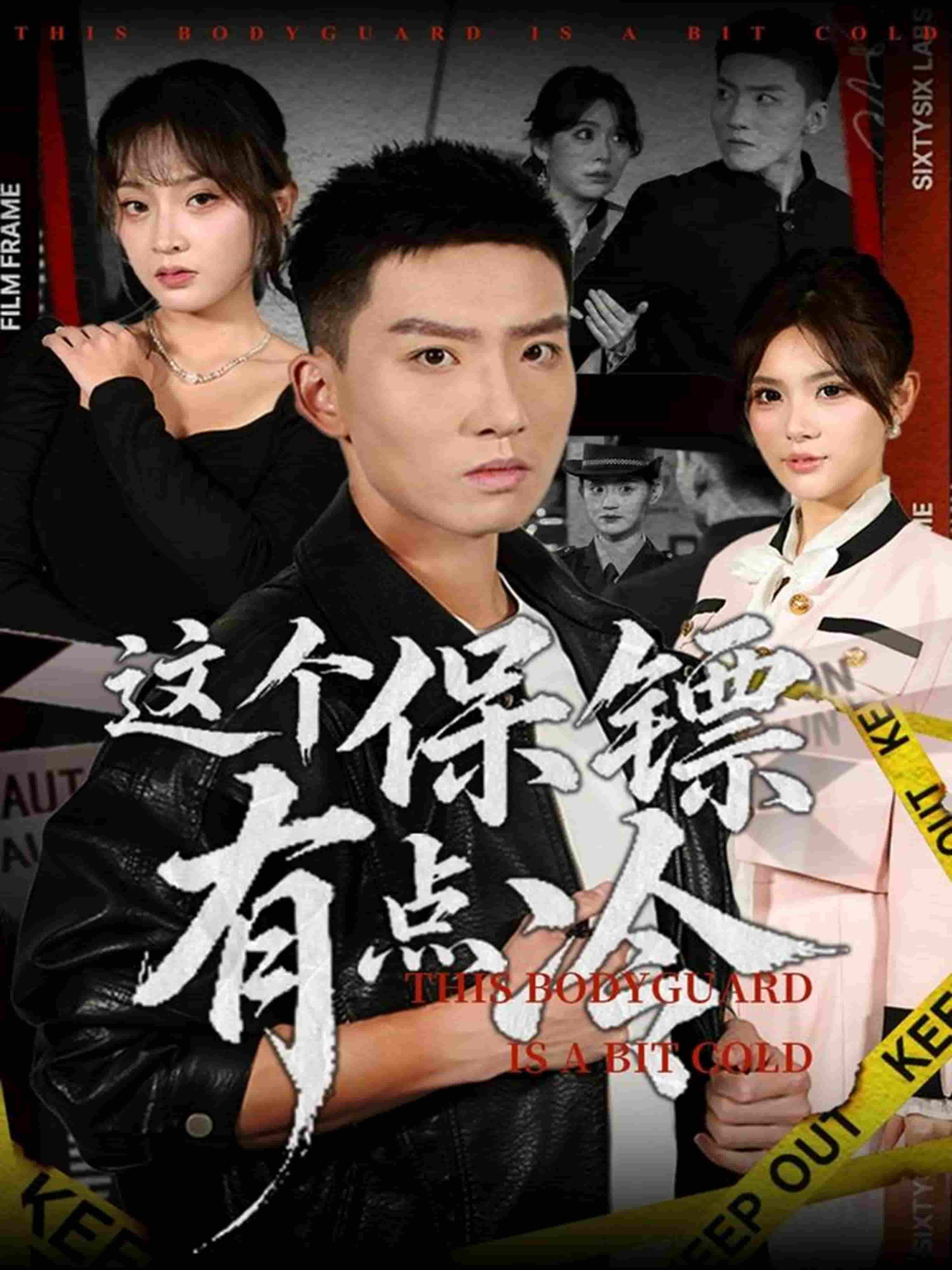 这个保镖有点冷封面图