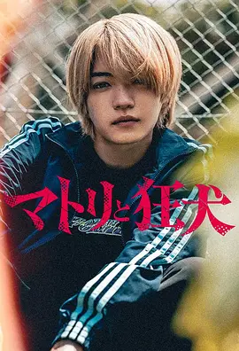 缉毒警与疯犬封面图